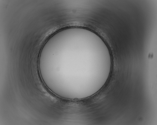 X0000111480625200907281203