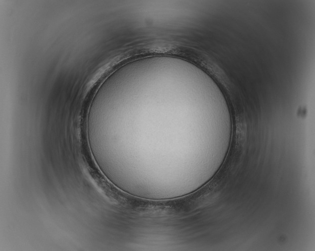 X0000111480626200907281203