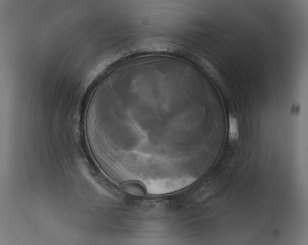 X0000111480627200907281203