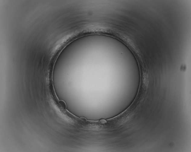 X0000111480629200907281203