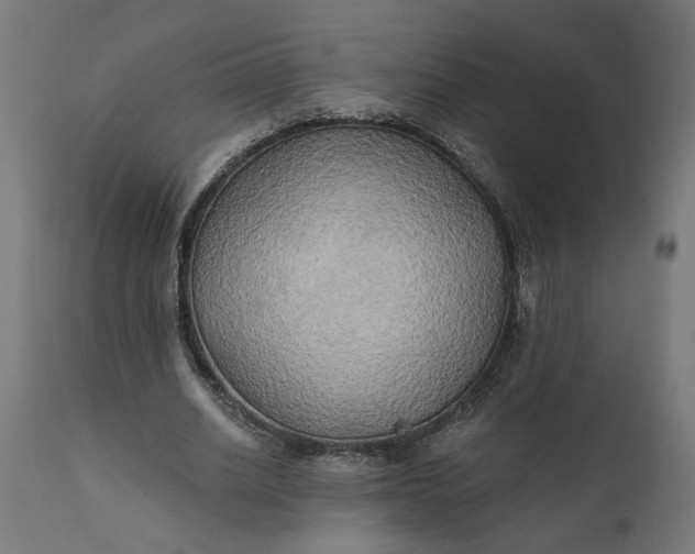 X0000111480630200907281203