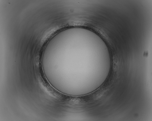X0000111480631200907281203