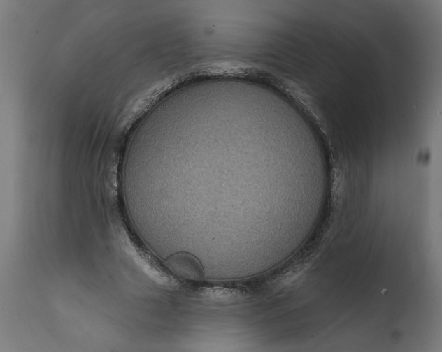 X0000111480633200907281203