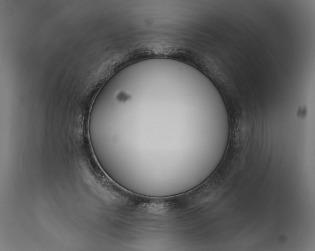 X0000111480639200907281203