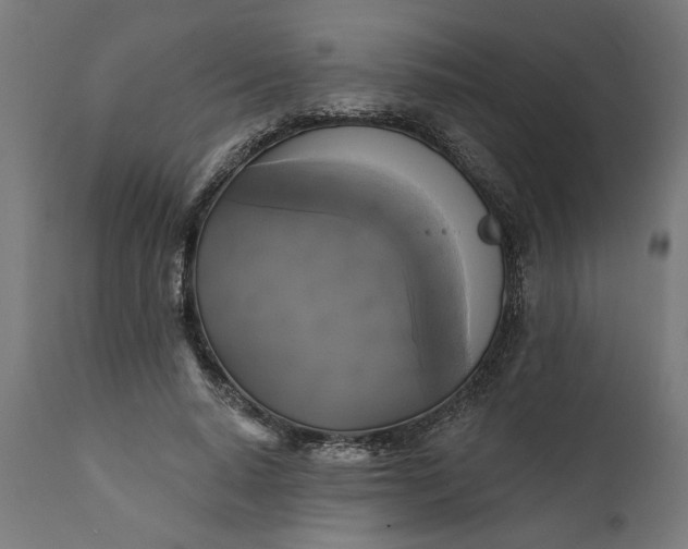X0000111480640200907281203