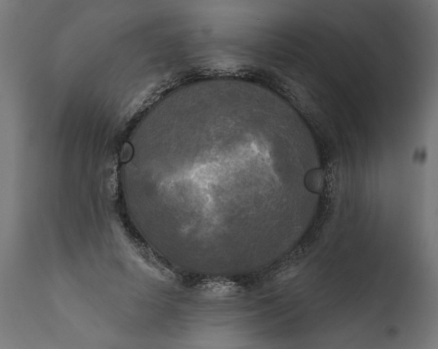 X0000111480642200907281204