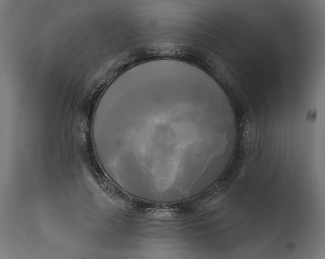 X0000111480643200907281204