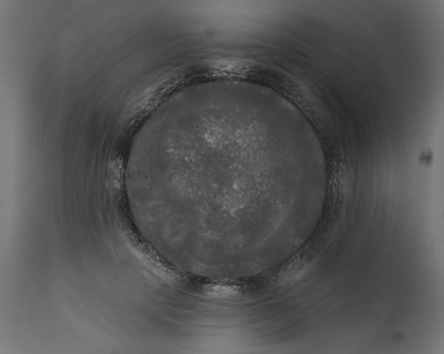 X0000111480649200907281204