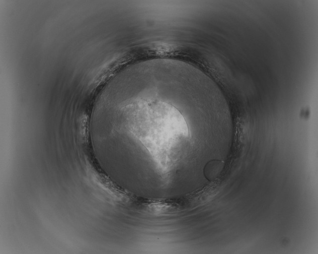 X0000111480650200907281204