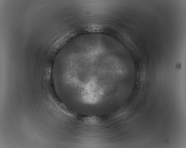 X0000111480652200907281204