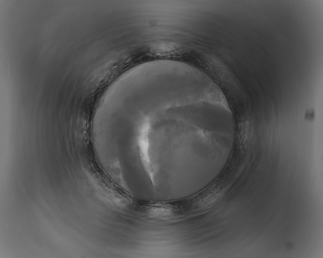 X0000111480653200907281204
