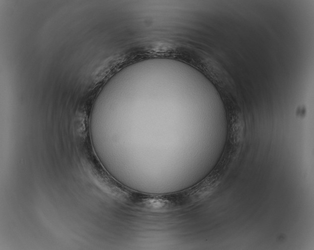 X0000111480654200907281204