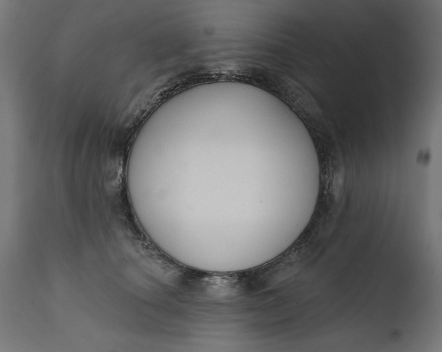 X0000111480660200907281204