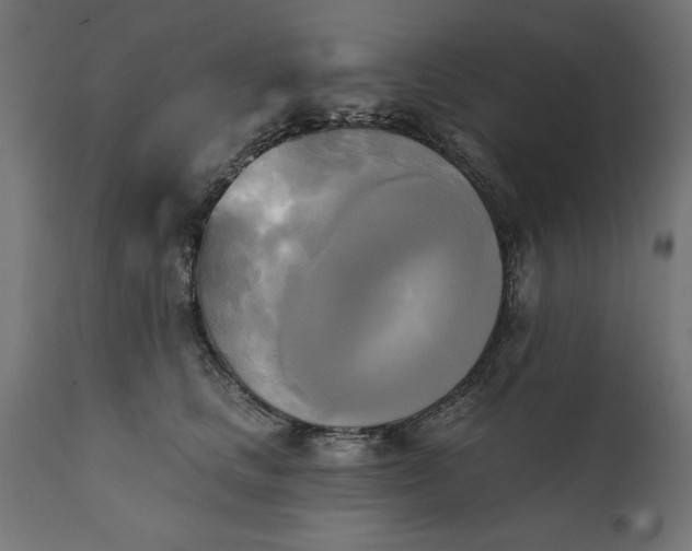 X0000111480661200907281204