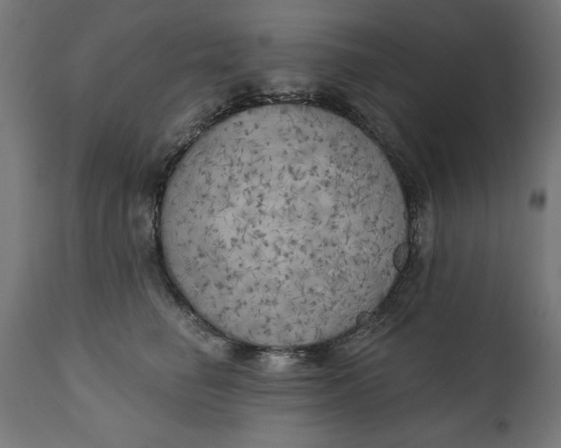 X0000111480662200907281204