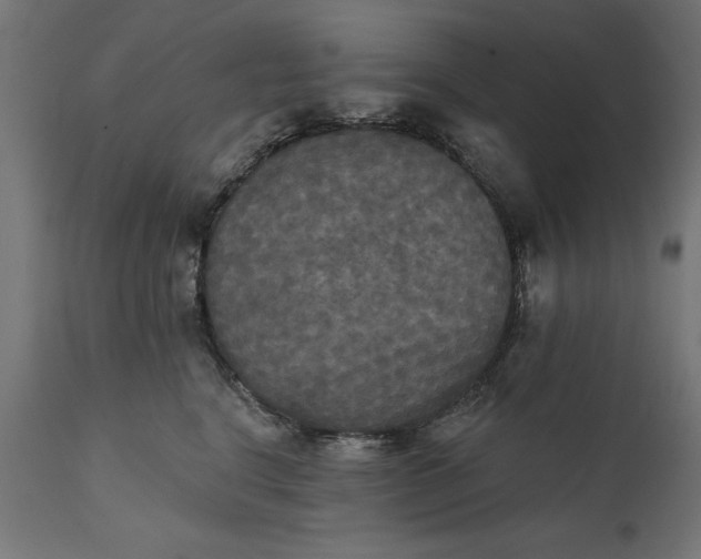 X0000111480664200907281204