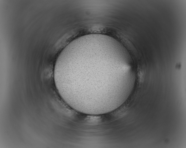 X0000111480665200907281204