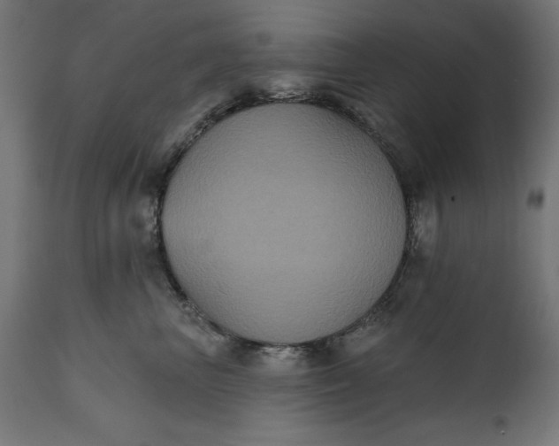 X0000111480667200907281204
