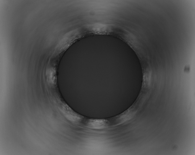 X0000111480671200907281204