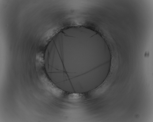 X0000111480672200907281204