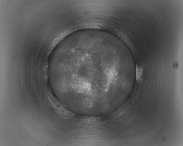 X0000111480675200907281203