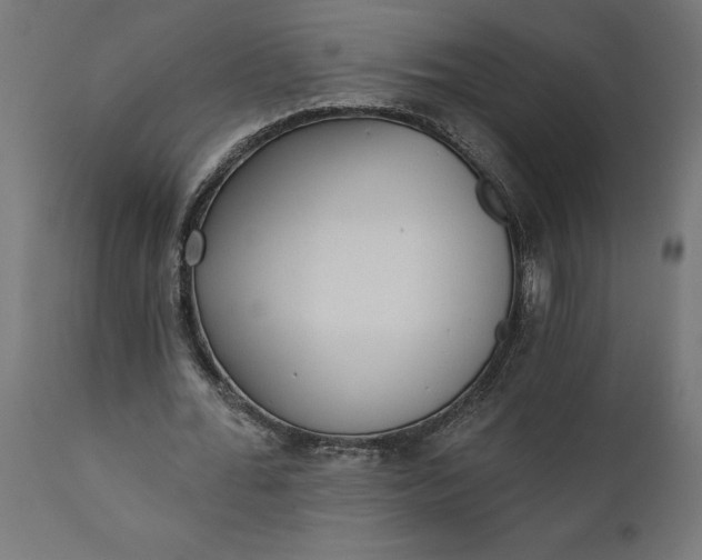 X0000111480676200907281203