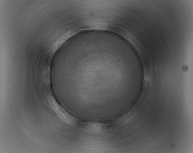 X0000111480677200907281203