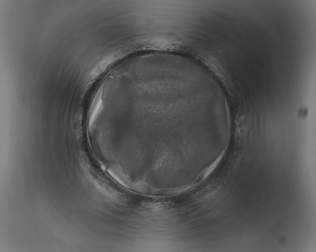 X0000111480679200907281203
