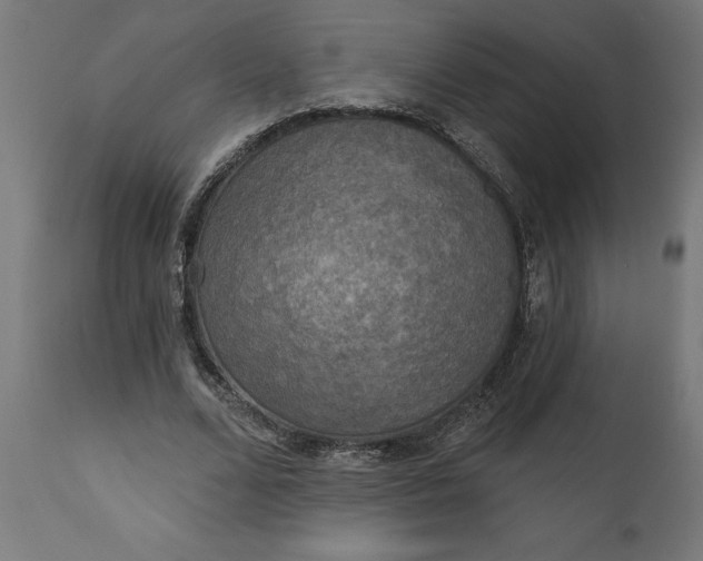 X0000111480680200907281203