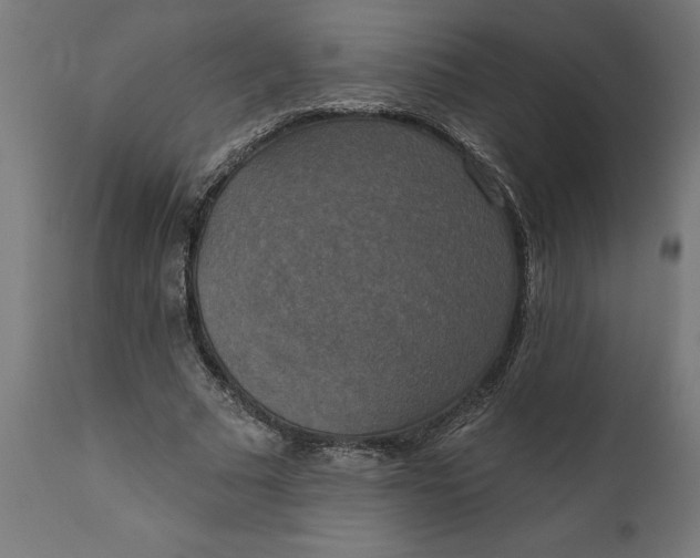 X0000111480681200907281203