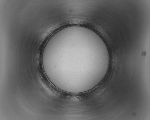 X0000111480683200907281203