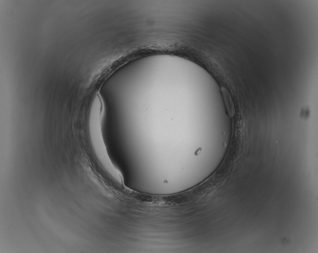 X0000111480688200907281203