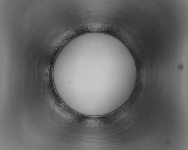 X0000111480690200907281203