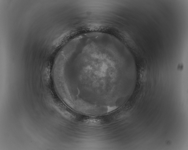X0000111480691200907281203