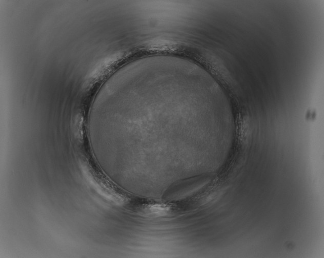 X0000111480692200907281203