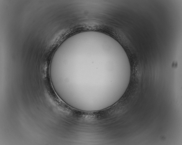 X0000111480694200907281203