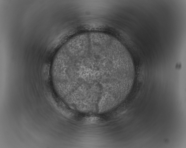 X0000111480695200907281203