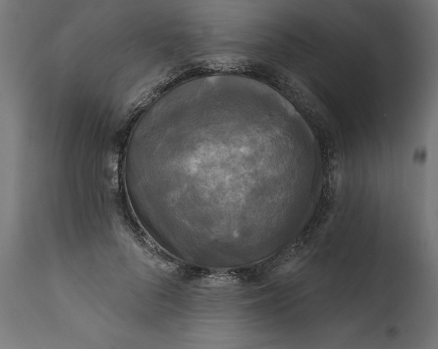 X0000111480696200907281203