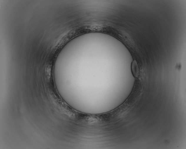 X0000111480697200907281203