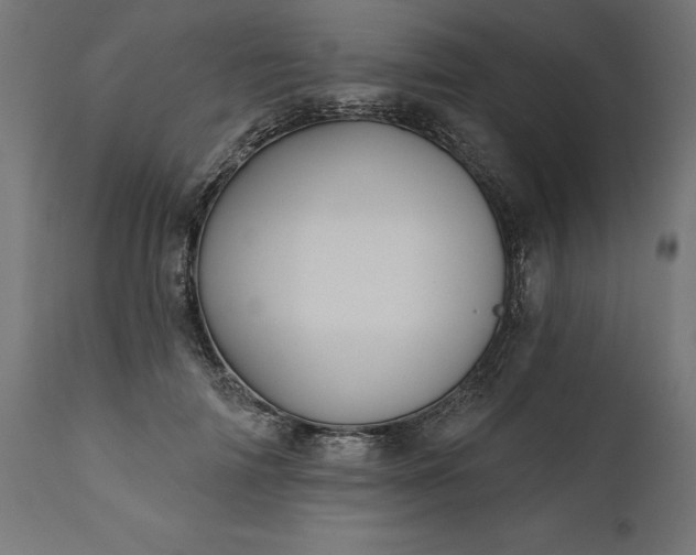 X0000111480698200907281203