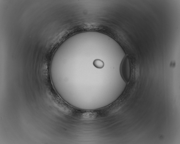 X0000111480700200907281203