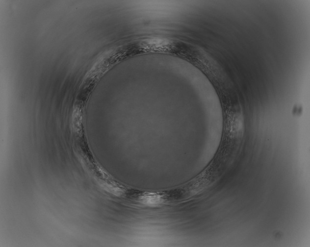 X0000111480701200907281203