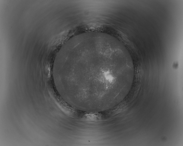X0000111480703200907281202