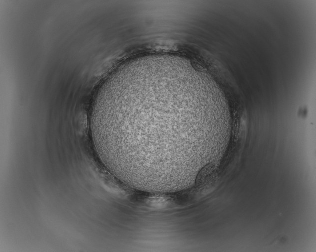 X0000111480704200907281202
