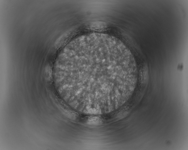 X0000111480705200907281202