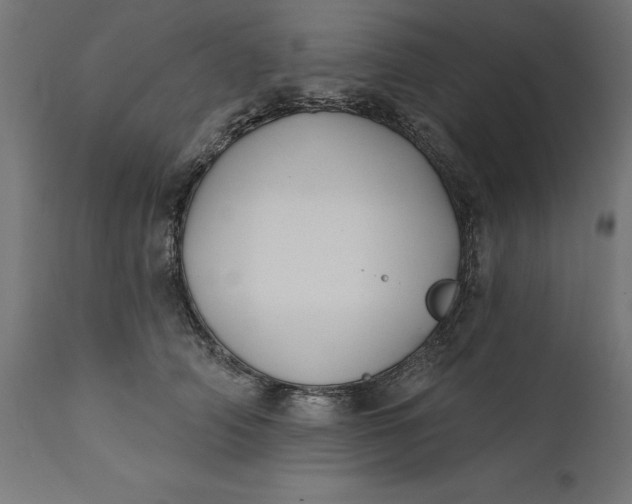 X0000111480706200907281202