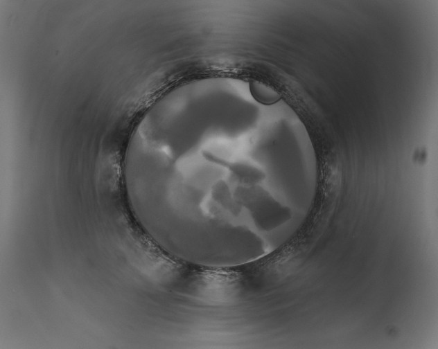 X0000111480707200907281202