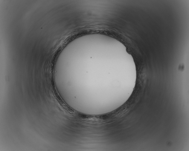 X0000111480708200907281202