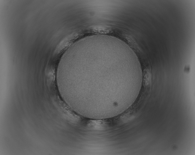 X0000111480713200907281202