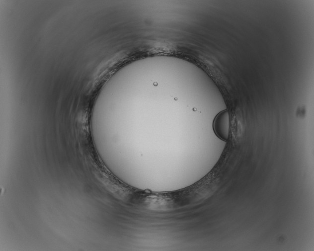 X0000111480714200907281202